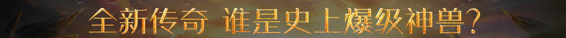 数字网基金分析